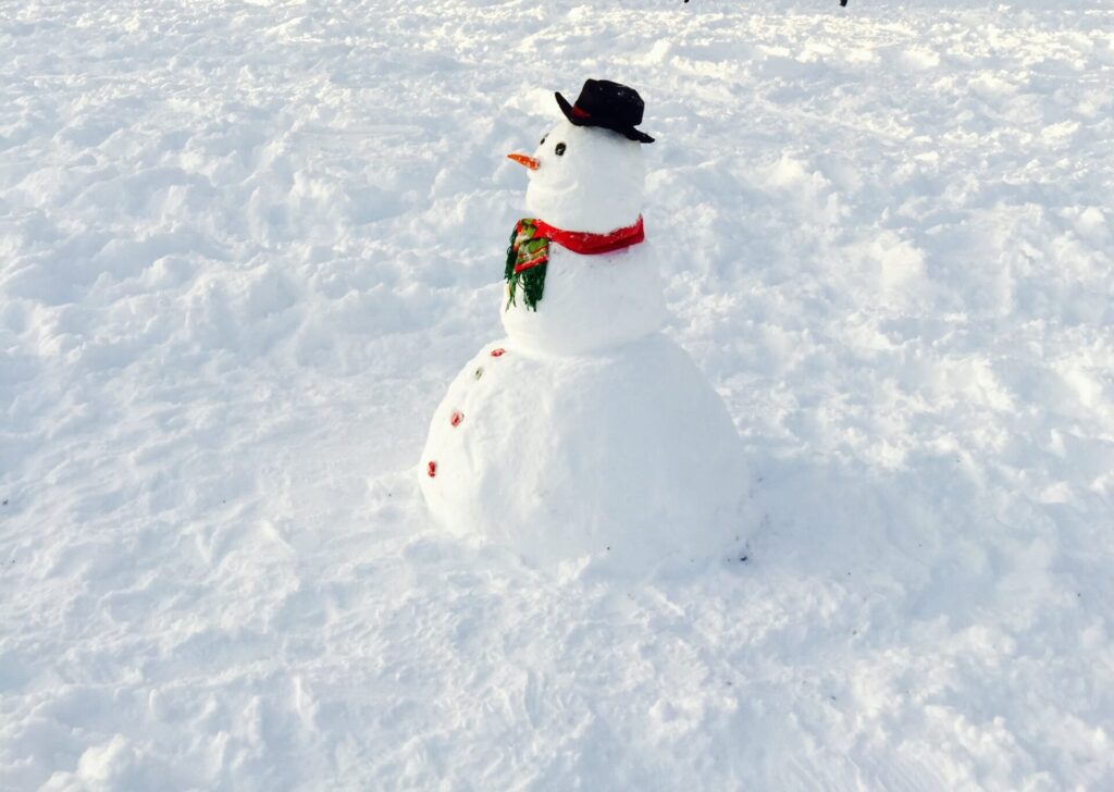 Build a snowman on family day